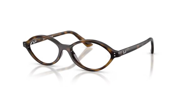Monture de lunettes Ray-Ban 7265832052 - 7265832052